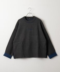 WEGO アウトリンキングニットプルオーバー