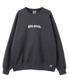 WEGO 【ユニセックス着用ITEM/MLサイズ展開/裏起毛】別注BENDAVISプランプロゴプルオーバー