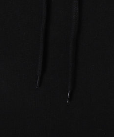 WEGO BENDAVISブリッジグラフィックプルパーカー