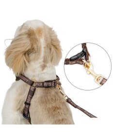 PET PARADISE スヌーピー ハーネス＆リード 《ワッペン柄》 Ｓ 小型犬
