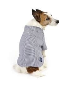 PET PARADISE J.PRESS チェックシャツ 小型犬