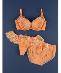 WACOAL 【ハグするブラ】 ブラジャー 体温を感知してカラダになじむ 谷間メイク 脇・背中すっきり レディース BRB498 /ワコール