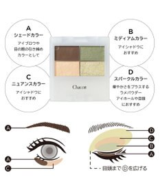 Chacott Cosmetics フェイスカラーパレット【517】ホライゾングリーン