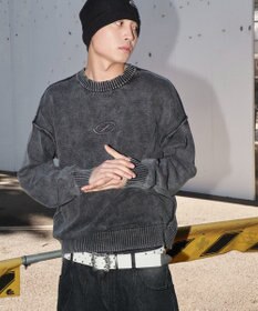 WEGO 【ユニセックス着用ITEM】ピグメントロゴニットプルオーバー