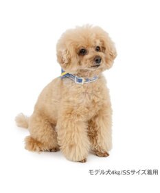 PET PARADISE ディズニー ドナルドダック セーラー付き首輪 Ｓ