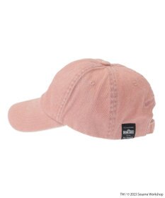 Green Parks セサミストリートミーツオブザルーム　キャップ