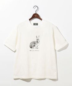 JOSEPH ABBOUD MOUNTAIN 【日本製・アーティストコラボレーション】プレーティング天竺Tシャツ