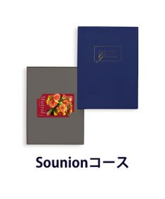 antina gift studio Mistral(ミストラル) e-order choice(カードカタログ) ＜Sounion(スーニオン)＞