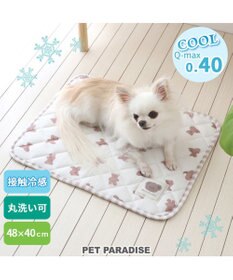 PET PARADISE 犬 クール マット 冷感 柔らか クールマット (48×40cm) 苺 くまちゃん ネイティブ 接触冷感 ひんやり ペット