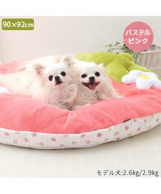 PET PARADISE ネット店限定 ペットパラダイス 春いちご クッション  L