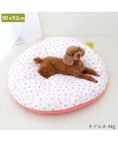PET PARADISE ネット店限定 ペットパラダイス 春いちご クッション  L