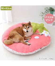 PET PARADISE ネット店限定 ペットパラダイス 春いちご クッション  L