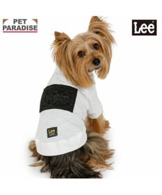 PET PARADISE Lee エンボス ロゴ Ｔシャツ 《ホワイト》 小型犬