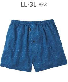 WACOAL MEN トランクス なめらかな肌ざわり やわらかなはき心地 前開き 下着 メンズ GT7071 /ブロス バイ ワコールメン