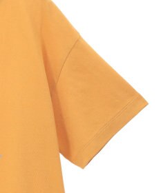 Green Parks 多段フェミニンロゴボックスＴシャツ