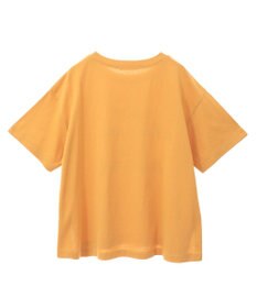 Green Parks 多段フェミニンロゴボックスＴシャツ