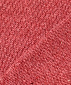 ANY L スパンコールニット