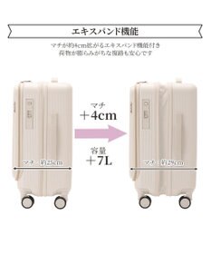 ACE BAGS & LUGGAGE Jewelna Rose エルダートローリー 機内持込 ボトルホルダー付 34~41L 05401 ジュエルナローズ cs