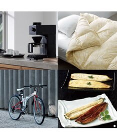 antina gift studio Mistral(ミストラル) e-order choice(カードカタログ) ＜Antibes(アンティーブ)＞