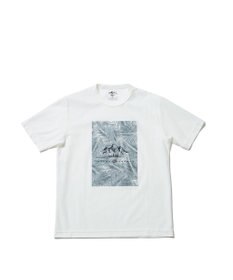 JOSEPH ABBOUD MOUNTAIN 【UNISEX】スラブリーフプリント Tシャツ