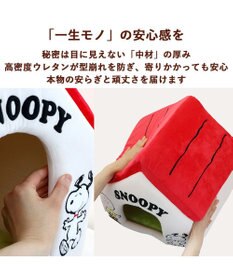 PET PARADISE スヌーピー お庭付き赤い屋根 折り畳みハウス【大】