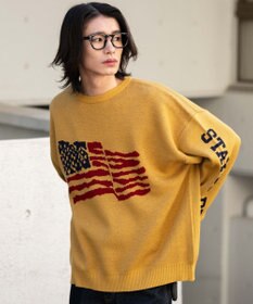 WEGO スリーブロゴニットプルオーバー