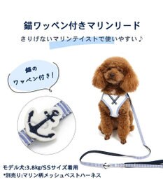 PET PARADISE 犬 リード 【４Ｓ~３Ｓ】 小花柄 マリン