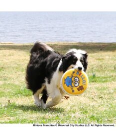 PET PARADISE 犬 おもちゃ ミニオン フライングディスク M (直径22cm)