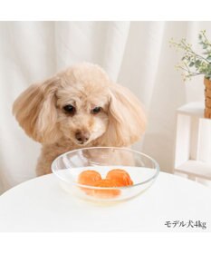 PET PARADISE 5種の野菜＆フルーツゼリー 8個入り