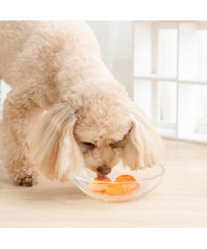 PET PARADISE 5種の野菜＆フルーツゼリー 8個入り