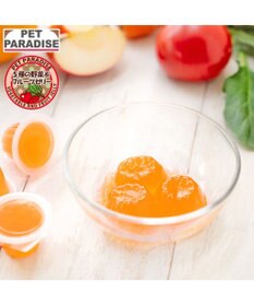 PET PARADISE 5種の野菜＆フルーツゼリー 8個入り