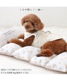 PET PARADISE ペットパラダイス ごろ寝マット 《ミモザ柄》 小型犬