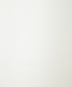 Green Parks １０ｔｈベイマックス／ワンポイントワッペンパーカー