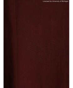 AMERICAN HOLIC Ｍｉｃｈｉｇａｎ　Ｕｎｉｖｅｒｓｉｔｙ　スウェット