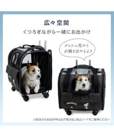 PET PARADISE スヌーピー キャスター付き折り畳みキャリー 小型犬