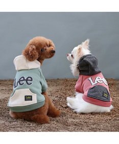 PET PARADISE Ｌｅｅ サガラ刺繍 パーカー  《グリーン》 小型犬