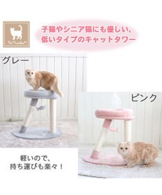 PET PARADISE 猫 キャットタワー 55cm スリム