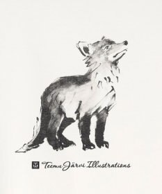 JOSEPH ABBOUD MOUNTAIN 【テーム・ヤルヴィコラボレーション/ゆったり】　　プレーティング天竺ヤルヴィー Tシャツ