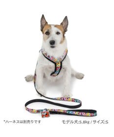 PET PARADISE スヌーピー 75周年 リード 小型犬 ～S