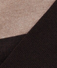 J.PRESS LADIES L Vis/Peスパーク カラーブロッキング ニット