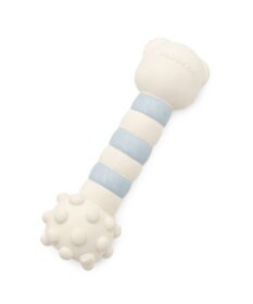 PET PARADISE ペットパラダイス くまちゃん ラテックス トイ 《ホワイト》