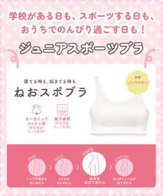Wing ジュニア スポーツブラ Wing Teen よく伸びる生地で動きやすい 【ねおスポブラ】 【STEP3 まるみをおびてきた胸に】 小学生 中学生 ノンワイヤー 部活 RB2430 ウイング／ワコール