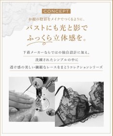 Wing ブラジャー 立体感のあるバストをメイク ふっくらデコルテ きれいな谷間 ブラのズレ・浮きを軽減 【ハイライトブラ】 ブラ CB4000 ウイング／ワコール