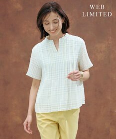 J.PRESS LADIES 【WEB限定カラーあり・洗える】シアーチェック カットソー 【WEB限定カラー】アイボリー×オフギンガム系