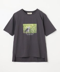 ANY L 【接触冷感】アソートプリントＴシャツ
