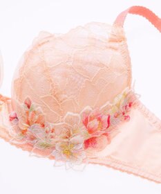 Wing Wing Lesiage　【2820シリーズ】　ブラジャー　ふっくらまる胸メイク　ウイング／ワコール　PB2820