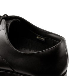 ASICS WALKING GEL-BIZ オーセンティック GORE-TEX防水 3E