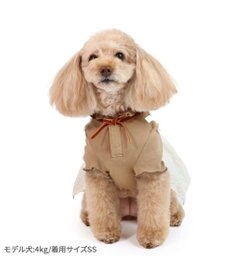 PET PARADISE ディズニー わんわん物語 レディ ワンピース 《ぷくっと花柄》 小型犬