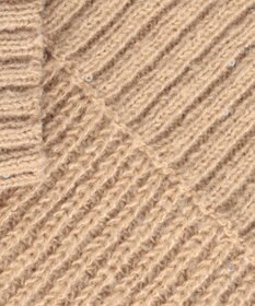 Feroux 【洗える】スパンコール プルオーバーニット