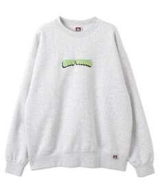 WEGO 【ユニセックス着用ITEM/MLサイズ展開/裏起毛】別注BENDAVISプランプロゴプルオーバー